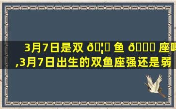 3月7日是双 🦁 鱼 🐝 座吗,3月7日出生的双鱼座强还是弱